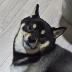 스푼 | DJ 재 하 ꔚ님의 채널