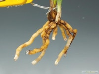 난나라직거래에 오신 것을 환영합니다.