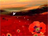 공연의 모든 것 - 플레이DB