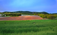 베스트갤러리 - 청보리와 황토밭골