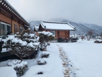 스테이별밤(StayStarryNight | Korea Vacation Rentals - Airbnb