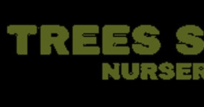 Trees Sixty - Los Angeles, CA | about.me Trees Sixty on about.me