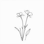 A minimalist, black-and-white line drawing of three elegant flowers arranged together at varying heights, leaning toward the right...