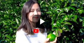 Visit Jeju : 제주 먹거리 & 식재료 탐방 여행 제주 먹거리 & 식재료 탐방 여행<제주도...