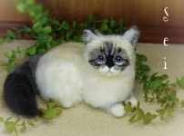 See&Buy씨앤바이 | ◆sei◆ 羊毛フェルト バーマンの子猫♪ 猫 ハンドメイド /【Buyee】 "Buyee" 일본 통신 판매 상품・옥션의 대리 입찰・대리 구매 서비스