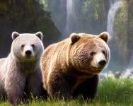 Images of Bear puppi playing in the Forst an Hills. | Deep Dream Generator