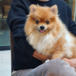 경주 한옥펜션 투미 | 경주 한옥 펜션 추천합니다!