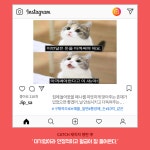 (주)SPC삼립베이커리팩토리빅마켓영등포점 | SPC삼립! 현직자가 말한다!! | 캐치