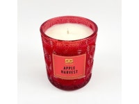 Daniella's Candles Apple Harvest Classy Candle - Newegg.com