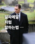 알파메일처럼 말 하는 법 > 인기 게시물 | 시보드 알파메일처럼 말 하는 법