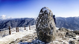 Foto aus Naver-Suchergebnissen 6