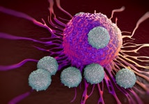 봄담바이오 | CAR-T Therapy: A Novel Approach to Cancer – SVB Inside Innovation – Medium