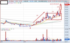 알파가산하이엔드점 | 알파 헌터