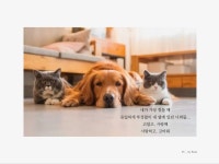 CLASS101 | 인디자인으로 세상에 하나뿐인, 내 에세이 책 만들기 인디자인으로 세상에 하나뿐인, 내 에세이 책 만들기 | sima