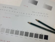 CLASS101 | 시들지 않는 꽃, 색상별로 그려보는 색연필 보태니컬 아트 시들지 않는 꽃, 색상별로 그려보는 색연필 보태니컬 아트 | 아티스트...