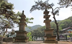 팜듀참선진녹즙보은옥천지사 | 기울어진 ‘옥천 용암사 삼층석탑’ 바로잡는다 < 옥천 < 보은·옥천·영동 < 충북 < 기사본문 - 충청신문 기울어진 ‘옥천 용암사 삼층석탑’...