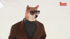 개간지 모델.gif - 고급유머 개간지 모델.gif