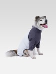 H FASHION 니즈더펫 인터라켄 쿨피트웨어 4XL-6XL