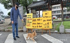 인셀덤홍성법원 | 법원으로 넘어간 의장 불신임 < 정치/행정 < 홍성신문 < 기사본문 - 홍성신문·내포타임즈 법원으로 넘어간 의장 불신임