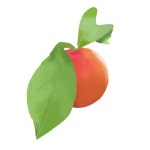 A single japanese plum (うめ) - ibisPaint