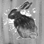 Run rabbit run - ibisPaint