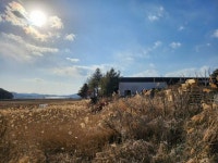 경매마당 공매정보 '2022-10516-004'의 시세, 권리분석, 상세정보