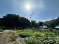 경매마당 공매정보 '2023-13250-001'의 시세, 권리분석, 상세정보