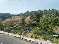 경매마당 공매정보 '2023-17001-003'의 시세, 권리분석, 상세정보