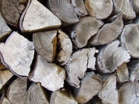 10개 이상 무료 Woodgrain 및 목재 사진 - Pixabay