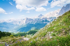Mountains Pine Forest Cortina - Free photo on Pixabay