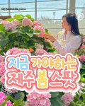 4월 제주도 가볼만한 곳 BEST8 < 국내 여행 < 기사본문 - 여행톡톡 4월 제주도 가볼만한 곳 BEST8
