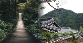 "선비의 고장에서 만나는 천년의 숲!" 경남 함양, 특별한 여행 코스 5곳... 고장에서 만나는 천년의 숲!" 경남 함양, 특별한 여행 코스 5곳