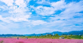 하나웰여행사동 | " 공주 유구사동 수족정원, 시원한 물길 따라 걷는 여름 산책 < 국내 여행 < 기사본문 - 여행톡톡 "여기 수국이 정말 예뻐요!" 공주 유구사동...