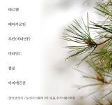 루미너스 미(LUMINOUS ME) | 솔잎 by 루미너스미 | wadiz 솔잎 by 루미너스미 | 와디즈