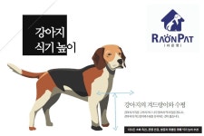 라온굿즈24시애견용품할인 | 댕냥이를 위한 식기를 커스터마이징 하세요, 라온펫 오브제 컬렉션 by 라온펫(RAONPAT)