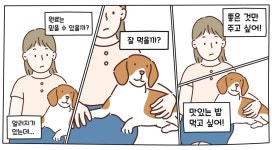 사료만큼 편하지만, 사료보다 좋은 식사, 어바웃밀 by 주식회사 어바웃밀