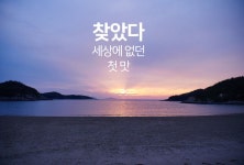 유한회사 재운양만수산 | 오디먹은 뽕잎 키조개관자 by 어업회사법인 대국수산유한회사 | wadiz 찾았다 세상에 없던 첫맛! 오디먹은 뽕잎 키조개관자 by 어업회사법인...