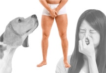 주식회사 헬로마이티켓 | 냄새 싸악~ 온종일 은은한 쿨링감! 남성 전용청결제 남자의 에티켓 맨티켓 by 주식회사 데이비스
