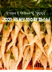 법인아케다바이오푸드 | "고든램지도 인정" 죽기전에 꼭 먹어봐야 될 채소 파스닙, 이제 국산이다 by 농업회사법인(주)케이푸드바이오
