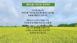 빛들포도즙 | 달콤한 과즙 추석엔 '샤인머스켓' 으로 더욱 특별한 순간을 만나보세요! by 어디에서왔니