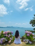 폰으로도 충분해요! 입문자를 위한 보정법부터 수익화 노하우까지 A-Z
