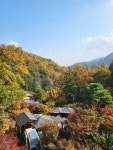 알래스카청정지역 순도80% 오메가3 I 원재료부터 제대로된 오메가 드세요 by 에프엠더블유