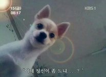 정신이 좀 드니? - 뽐뿌:짤방갤러리 정신이 좀 드니?