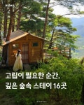 깊은 숲 속에 숨은 스테이 공간..jpg - 뽐뿌:여행포럼 깊은 숲 속에 숨은 스테이 공간..jpg