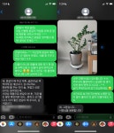 3대째 정원사의 크리스마스 식물과 쉽고 효율적인 화분 워터팟 by 플란타 PLANTA
