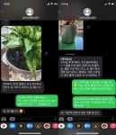 3대째 정원사의 크리스마스 식물과 쉽고 효율적인 화분 워터팟 by 플란타 PLANTA