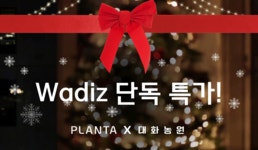 3대째 정원사의 크리스마스 식물과 쉽고 효율적인 화분 워터팟 by 플란타 PLANTA