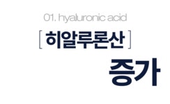 주식회사 인스코라인 | 원료사가 직접 새 피부를 씌워드릴게요. 1g당 N억 원료 FGF7으로요. by 주식회사 인스코비
