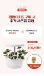 가정에서 즐기는 딸기 라이프, 내 손으로 키우는 행복 by 주식회사 베러투게더