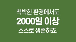 네이버 평점 5점, 화해 1등 스킨,로션! 피부진정 수분공급 알로즈! by 주식회사 이루